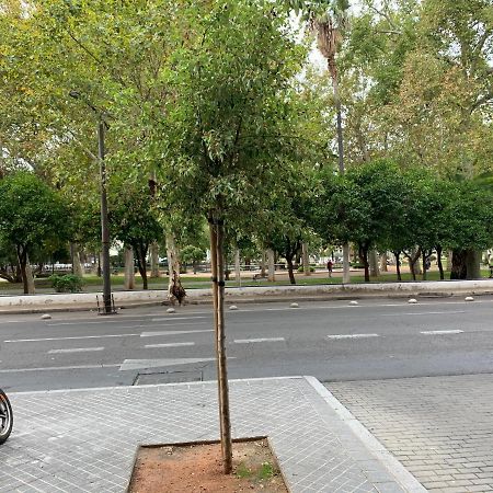 דירות קורדובה Center Flat Tejares מראה חיצוני תמונה